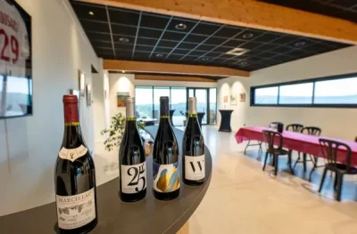 Degustation-de-la-Cuvee-Vieilles-Vignes-8211-18-10-2025-8211-Goutrens_3171992