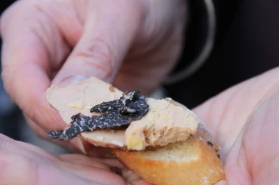 Degustation-et-decouverte-de-produits-autour-de-l039Oie-8211-07-03-2026-8211-Sarlat-la-Caneda_3486728