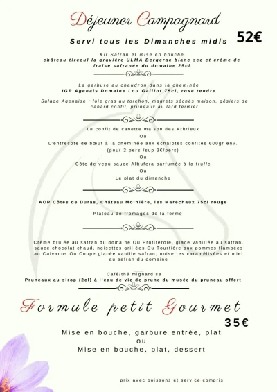 Dejeuner-campagnard-8211-23-08-2024-8211-Brugnac_2202053