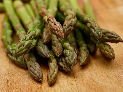 Dejeuner-conference-Les-asperges-les-genes-les-arts-8211-18-05-2025-8211-Climbach_2575564