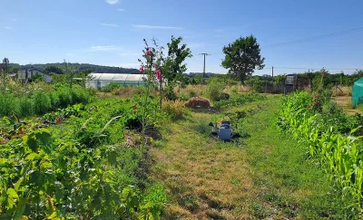 Demonstration-de-jardinage-au-naturel-8211-11-10-2025-8211-Saulge_2985716