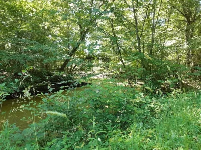 Des-Petits-Pas-vers-Soi-8211-Seichebrieres_2521954