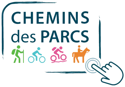 Des-flamants-roses-et-du-sel-a-velo-8211-Arles_2703953
