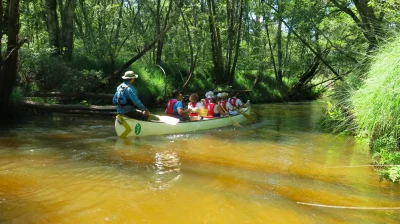 Descente-de-la-Leyre-en-canoe-collectif-le-C10-8211-29-07-2025-8211-Moustey_2471585