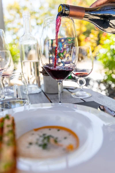 Diner-caritatif-au-Chateau-du-Roussillon-8211-03-06-2026-8211-Saint-Pierre-Lafeuille_3585648