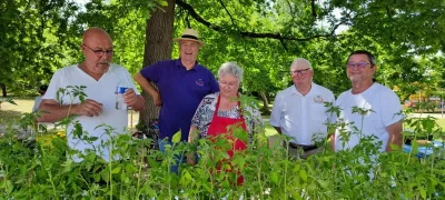 Distribution-de-plants-par-Jardins-de-Tomates-8211-04-04-2026-8211-Landiras_3470408