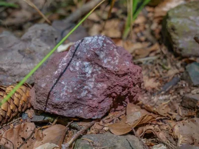 Dix-ans-d039archeologie-dans-la-vallee-de-la-Bruche-8211-28-09-2025-8211-Saales_3177197