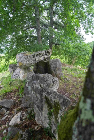 Dolmen-de-Curton_550948