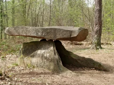 Dolmen-dit-du-quotBois-Agretiequot-8211-Aubazines_1209549