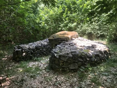 Dolmen-du-Bois-Neuf_550967