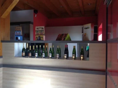 Domaine-Bohr-de-la-cueillette-a-la-bouteille-8211-Berstett_2864268