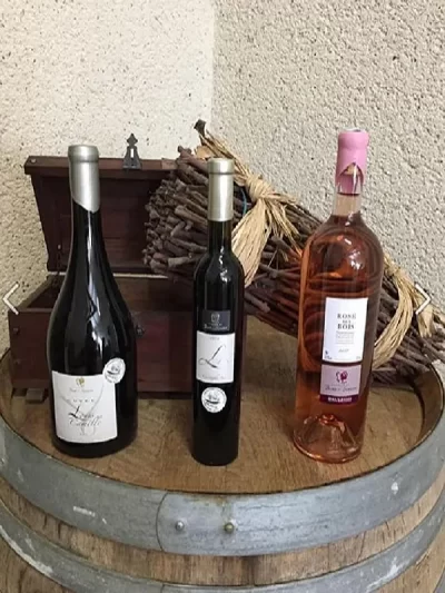 Domaine-Christophe-Avi-8211-Domaine-du-Bois-de-Simon_478405