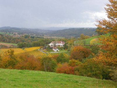 Domaine-Garmidou_99372