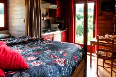 Domaine-Les-Chillards-8211-Griotte_127978