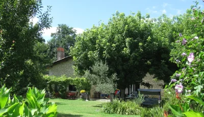 Domaine-Les-Messauts-8211-L039Abricotier-8211-Blaignac_3197966