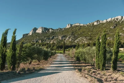 Domaine-Vallon-des-Glauges-8211-Eyguieres_1926805