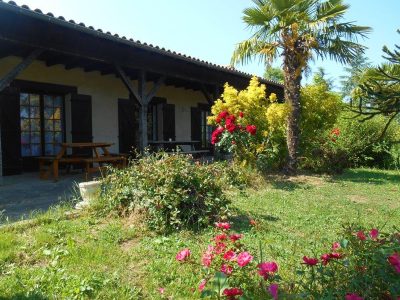Domaine-de-Brissonneau-Les-Palmiers_120933