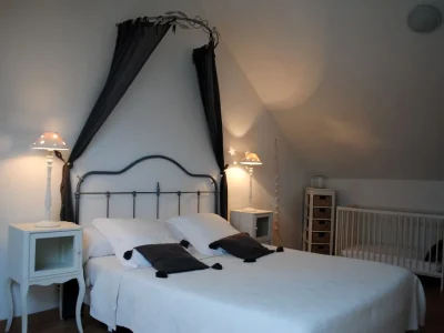 Domaine-de-Champouteau-8211-Les-Glycines-8211-Averdon_1710783