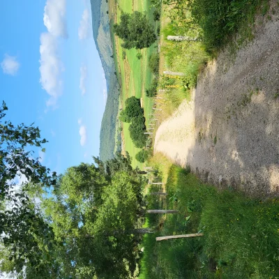 Domaine-de-Coulagnettes-8211-VTT-n°5-8211-Monts-de-Randon_3782383