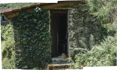 Domaine-de-La-Bastidie-8211-Le-Secadou-8211-Les-Albres_2591074