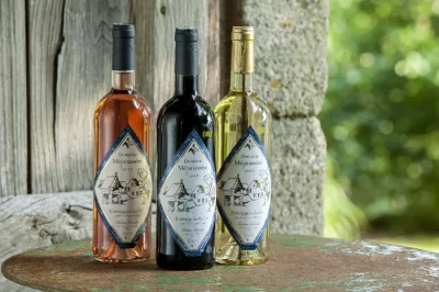Domaine-de-Mejanassere-Vins-d039Entraygues-8211-Le-Fel-8211-Entraygues-sur-Truyere_2244526