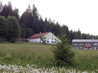 Domaine-de-Nayemont-8211-Gerardmer_3042027