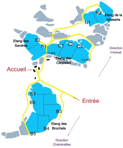 Domaine-de-Peyrusse-peche-de-la-carpe_1135857