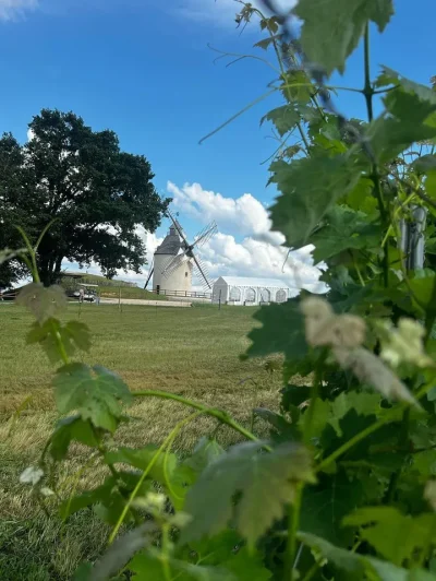 Domaine-de-Pribat-8211-Benesse-les-Dax_3617534