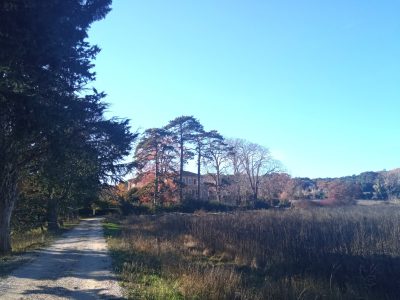 Domaine-de-Ribbe_57442
