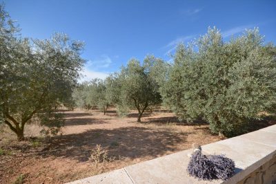 Domaine-de-Villemus-la-chambre_57272