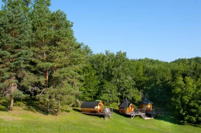 Domaine-de-l039Art-et-du-Cochon-8211-Ippon-8211-Belaye_2919011
