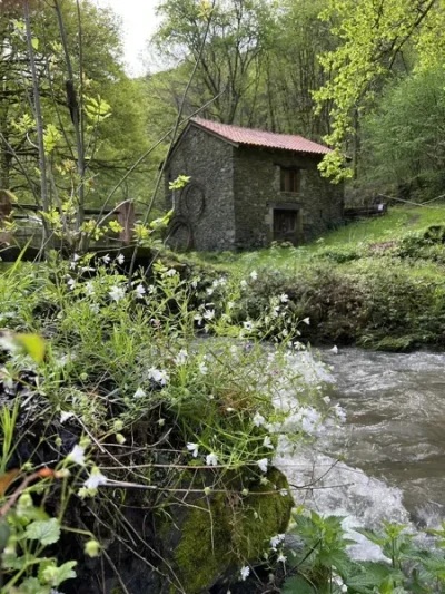 Domaine-de-la-Bastidie-8211-La-cabane-dans-les-bois-8211-Les-Albres_2591076