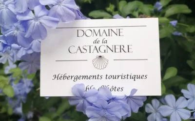 Domaine-de-la-Castagnere-8211-Castetnau-Camblong_3073280
