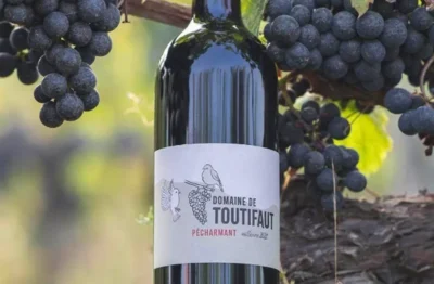 Domaine-de-toutifaut-visite-pedagogique-puis-degustation-8211-07-07-2025-8211-Creysse_2805224