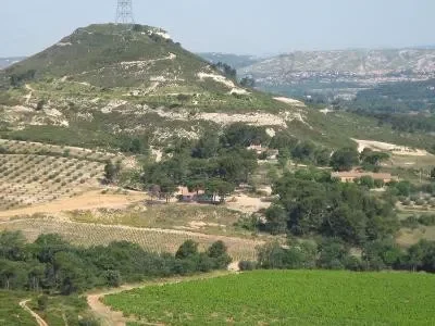 Domaine-du-Mas-Bleu-8211-Gignac-la-Nerthe_2412683