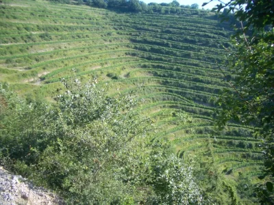 Domaine-du-Val-Enchante-8211-Marcillac-Vallon_2244126