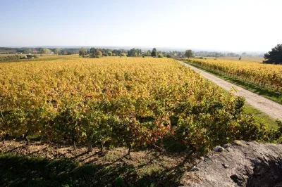Domaine-du-haut-Pecharmant-Degustation-gourmande-8211-23-07-2025-8211-Bergerac_2813570