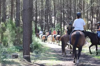 Domaine-equestre-de-la-Barde_1004636