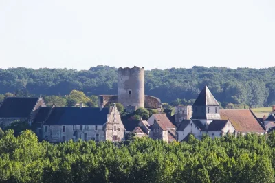 Donjon-de-Chatillon-sur-Indre-8211-Chatillon-sur-Indre_3210921