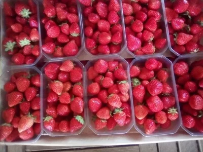 Du-jardin-a-votre-assiette_1041485