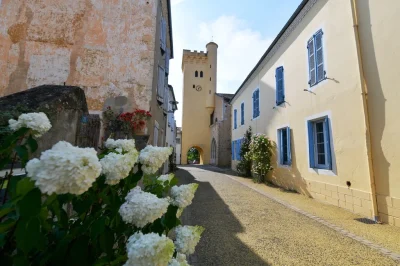 Du-sommet-au-palais-Montaut-comme-vous-ne-l039avez-jamais-goute-8211-22-08-2025-8211-Montaut_2611990
