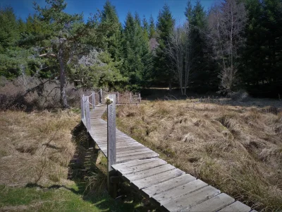 EN-CHEMIN-J039AI-RENCONTRE-quotLES-SOURCES-DU-LOTquot-8211-30-08-2025-8211-Mont-Lozere-et-Goulet_2675846