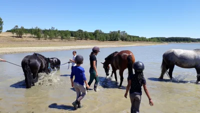 EQUITEC-8211-Sainte-Foy-de-Peyrolieres_3523892