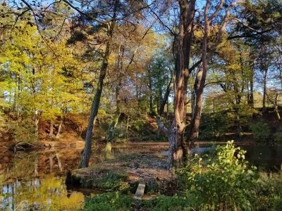 ETANG-DE-LA-BALLASTIERE_308357