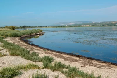 ETANG-SALSES-LEUCATE_635167