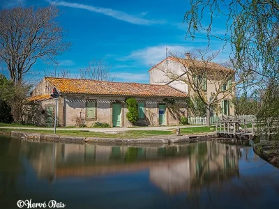 EXPOSITION-A-LA-MAISON-DES-ARTS-ET-DE-LA-NATURE-8211-21-06-2025-8211-Villesequelande_2555237