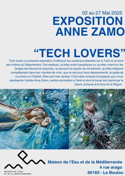 EXPOSITION-ANNE-ZAMO-DU-02-MAI-AU-27-MAI-8211-02-05-2025-8211-Le-Boulou_2484891