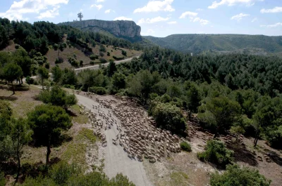 EYGALIERES-8211-La-Routo-le-chemin-de-Baume-Brignolle-8211-Saint-Remy-de-Provence_572903-37