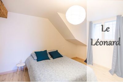 Echappees-amboisiennes-8211-La-Loire_86415