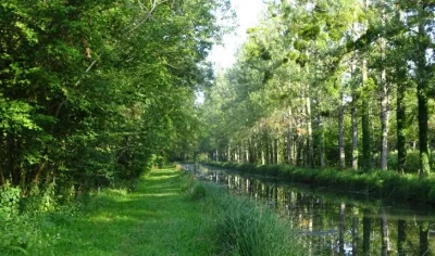 Ecobalade-entre-canal-et-prairies-humides-8211-Mery-sur-Cher_1732742